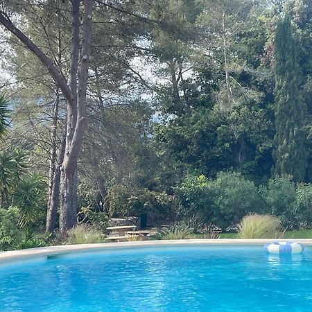 La Villa Des Carriers- Maison Avec Piscine Proche Mer Roquefort Les Pins Dış mekan fotoğraf