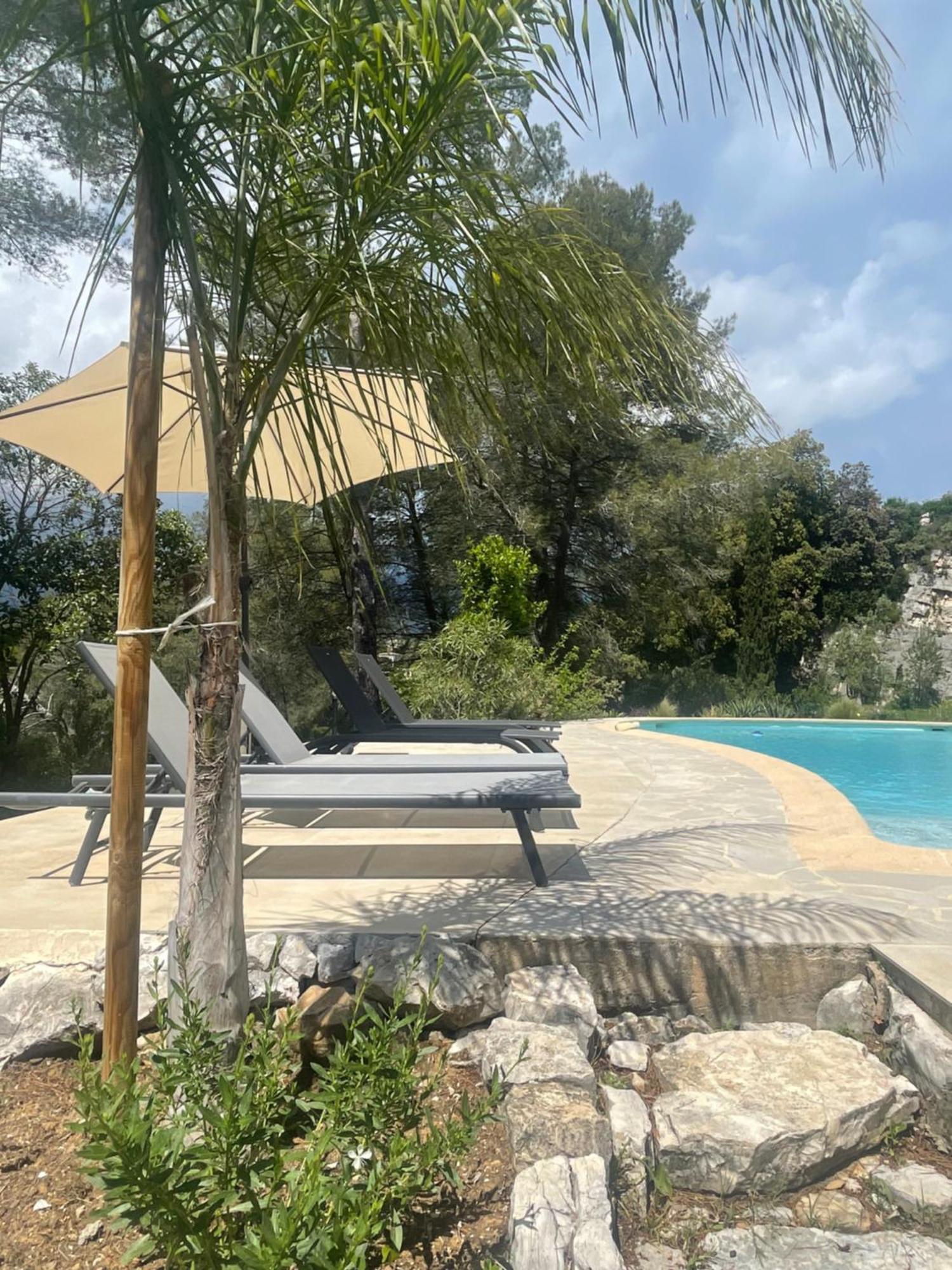 La Villa Des Carriers- Maison Avec Piscine Proche Mer Roquefort Les Pins Dış mekan fotoğraf