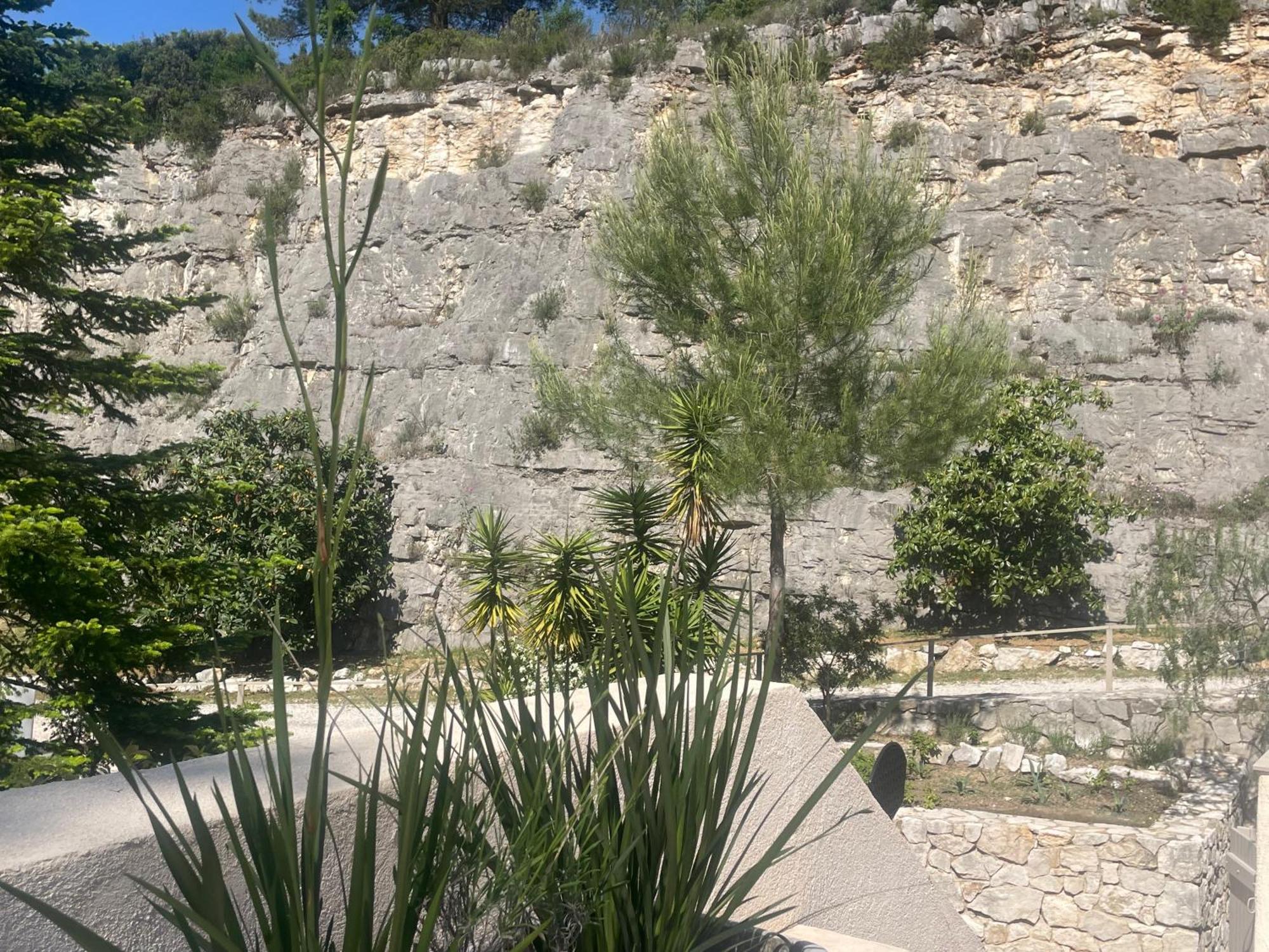 La Villa Des Carriers- Maison Avec Piscine Proche Mer Roquefort Les Pins Dış mekan fotoğraf